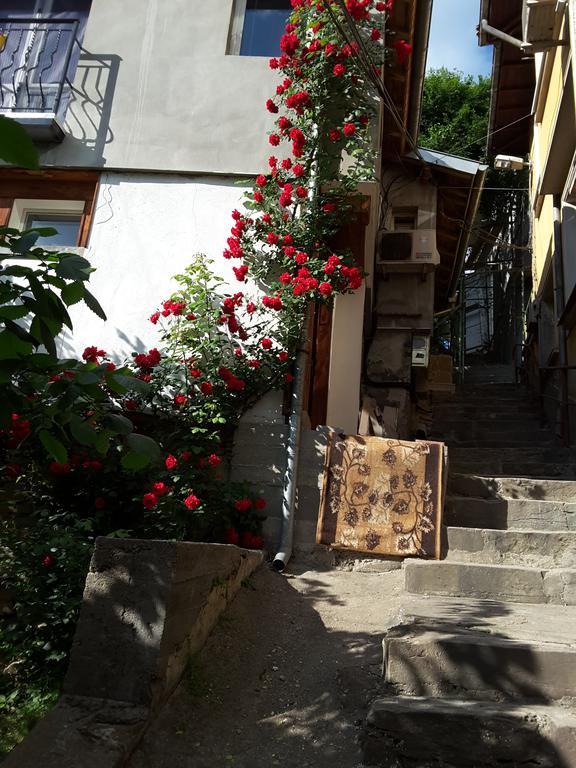 Diana Guesthouse Veliko Tarnovo Exteriér fotografie